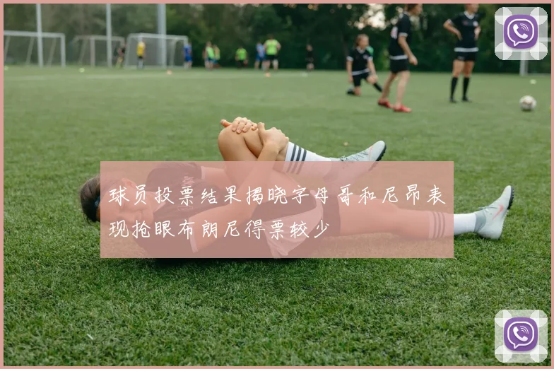球员投票结果揭晓字母哥和尼昂表现抢眼布朗尼得票较少